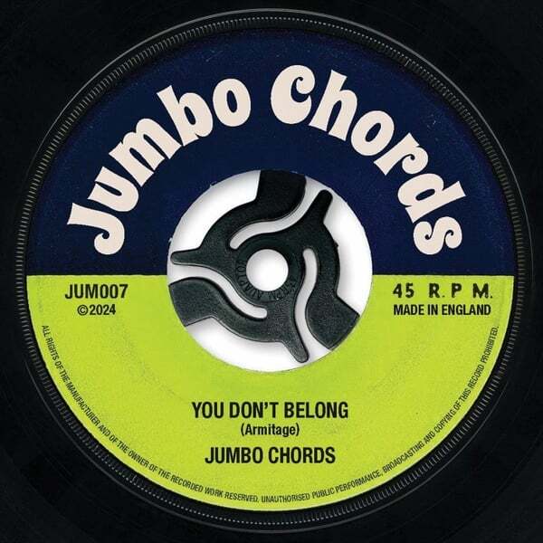 Cover art for You Don't Belong